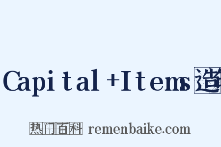 Capital+Items造句是什么意思的图片